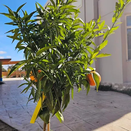 Aeon Rhodes - New With Private Pool עיר רודוס