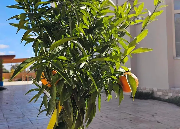 Aeon Rhodes - New With Private Pool Родос