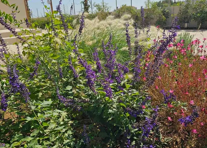 Aeon Rhodes - New With Private Pool